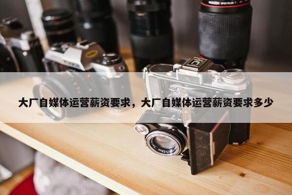 大厂自媒体运营薪资要求，大厂自媒体运营薪资要求多少