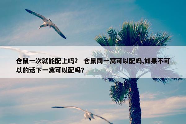 仓鼠一次就能配上吗？ 仓鼠同一窝可以配吗,如果不可以的话下一窝可以配吗？