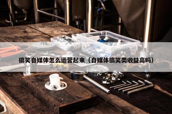 搞笑自媒体怎么运营起来（自媒体搞笑类收益高吗）