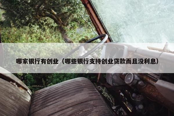 哪家银行有创业（哪些银行支持创业贷款而且没利息）