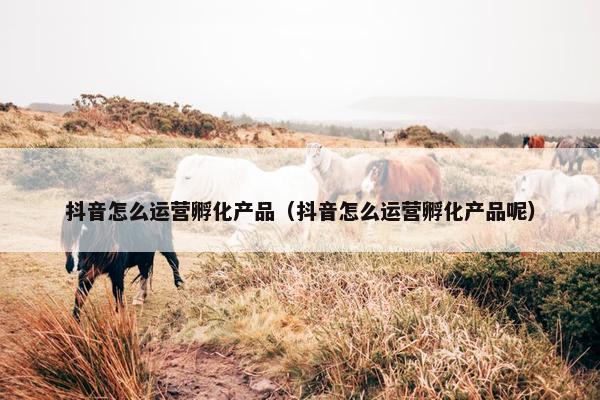 抖音怎么运营孵化产品（抖音怎么运营孵化产品呢）