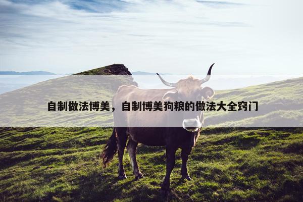 自制做法博美，自制博美狗粮的做法大全窍门