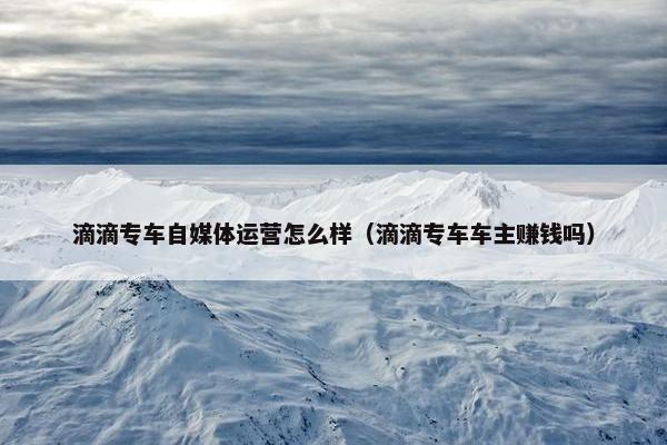 滴滴专车自媒体运营怎么样（滴滴专车车主赚钱吗）