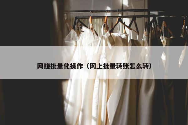 网赚批量化操作（网上批量转账怎么转）