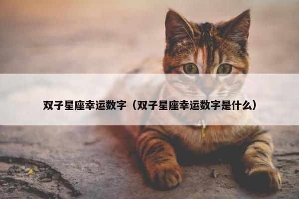 双子星座幸运数字（双子星座幸运数字是什么）