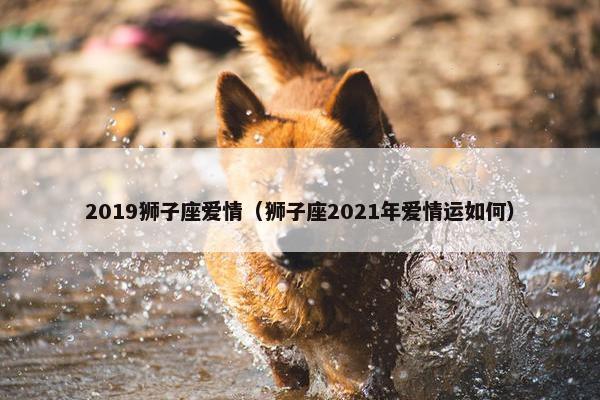 2019狮子座爱情（狮子座2021年爱情运如何）