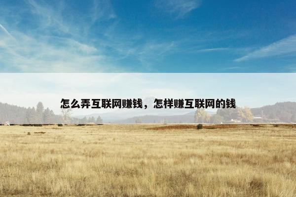 怎么弄互联网赚钱，怎样赚互联网的钱