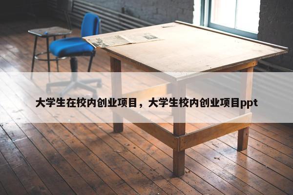 大学生在校内创业项目，大学生校内创业项目ppt