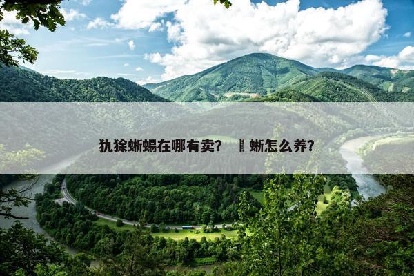 犰狳蜥蜴在哪有卖？ 痲蜥怎么养？