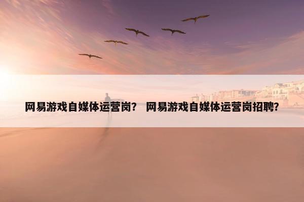 网易游戏自媒体运营岗？ 网易游戏自媒体运营岗招聘？