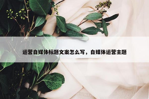 运营自媒体标题文案怎么写，自媒体运营主题