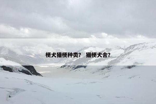 梗犬猎梗种类？ 猎梗犬舍？