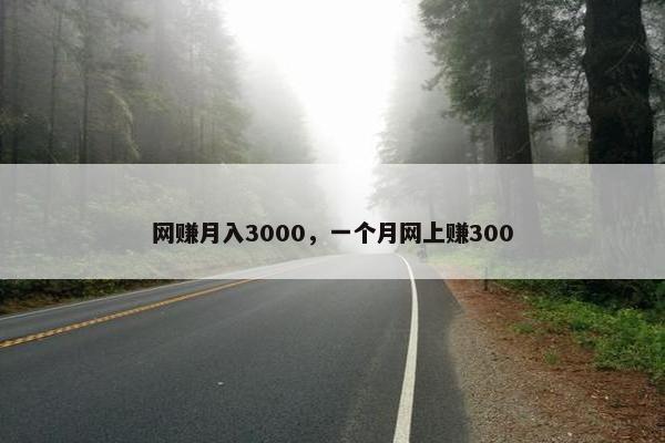 网赚月入3000，一个月网上赚300