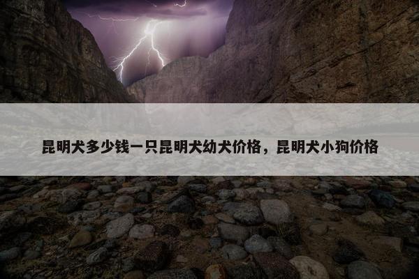 昆明犬多少钱一只昆明犬幼犬价格，昆明犬小狗价格