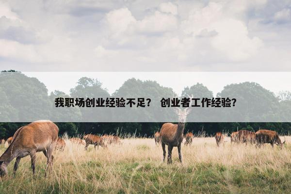 我职场创业经验不足？ 创业者工作经验？