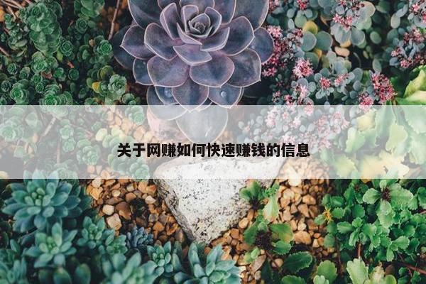 关于网赚如何快速赚钱的信息