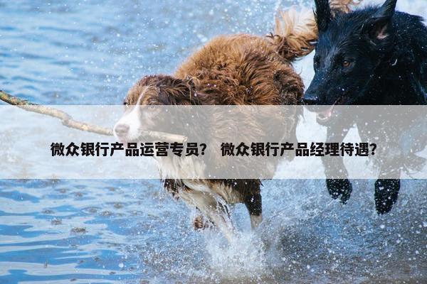 微众银行产品运营专员？ 微众银行产品经理待遇？