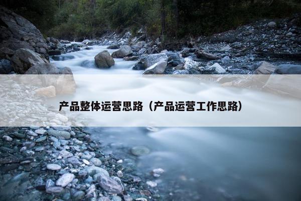 产品整体运营思路（产品运营工作思路）