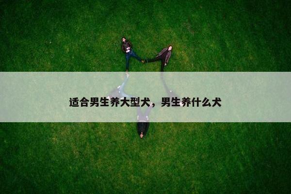 适合男生养大型犬，男生养什么犬