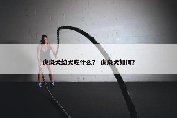 虎斑犬幼犬吃什么？ 虎斑犬如何？