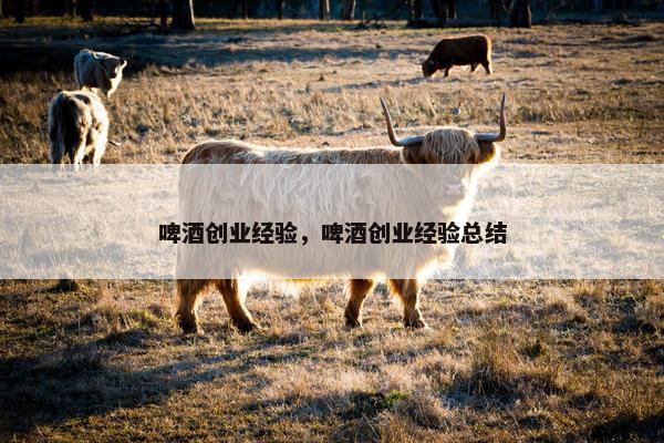 啤酒创业经验，啤酒创业经验总结