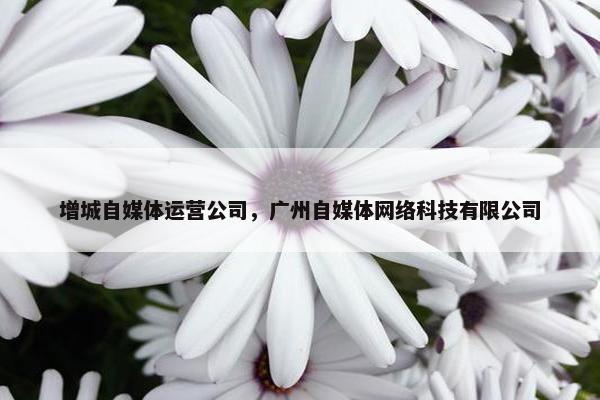 增城自媒体运营公司，广州自媒体网络科技有限公司