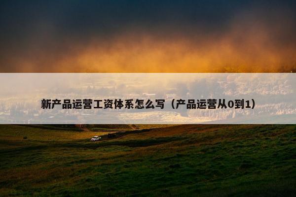新产品运营工资体系怎么写（产品运营从0到1）