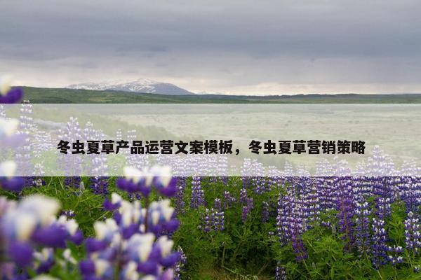 冬虫夏草产品运营文案模板，冬虫夏草营销策略
