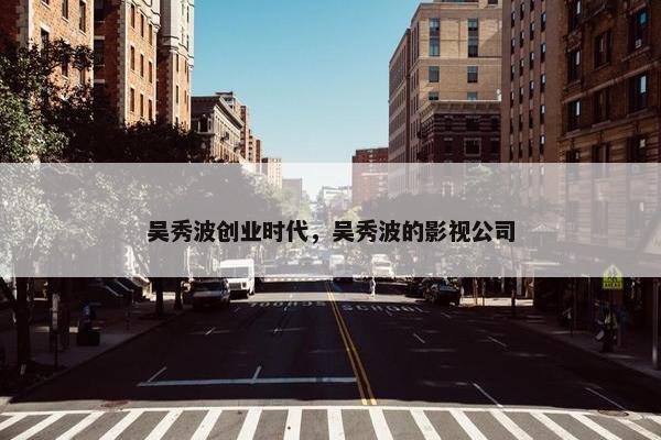 吴秀波创业时代，吴秀波的影视公司