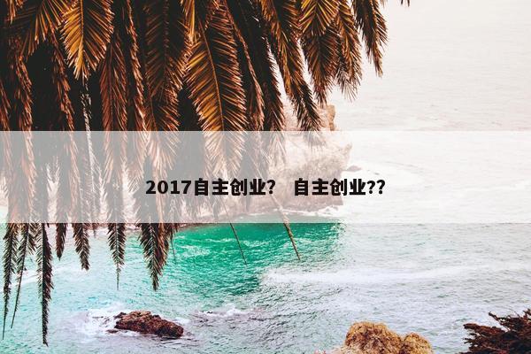 2017自主创业？ 自主创业?？