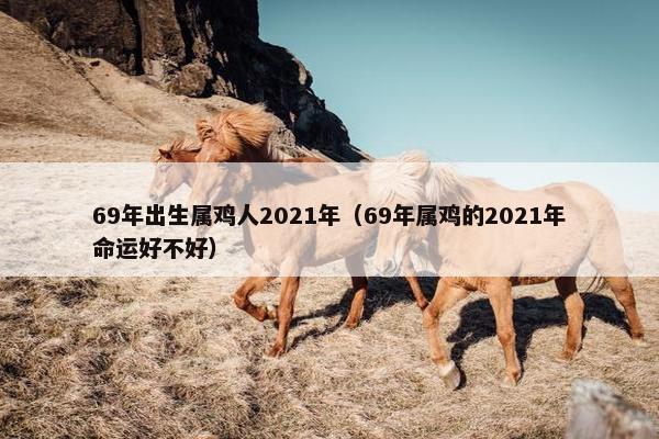 69年出生属鸡人2021年（69年属鸡的2021年命运好不好）