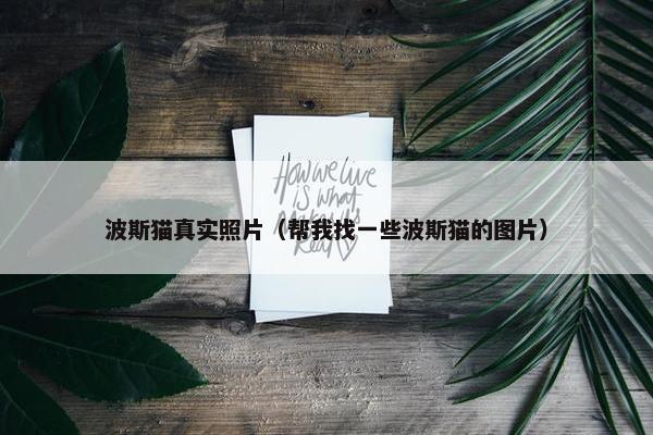 波斯猫真实照片（帮我找一些波斯猫的图片）