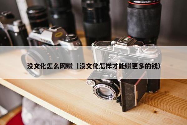 没文化怎么网赚（没文化怎样才能赚更多的钱）