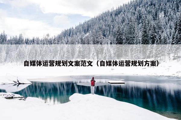 自媒体运营规划文案范文（自媒体运营规划方案）