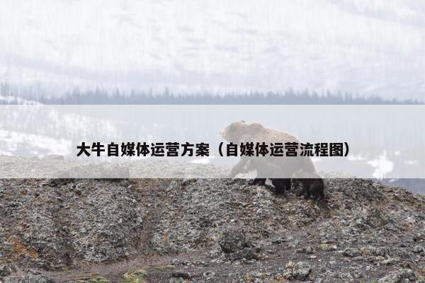 大牛自媒体运营方案（自媒体运营流程图）