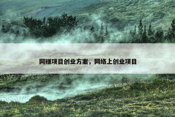 网赚项目创业方案，网络上创业项目
