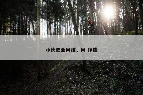 小伙职业网赚，网 挣钱