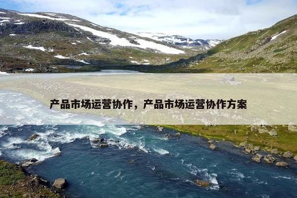 产品市场运营协作，产品市场运营协作方案
