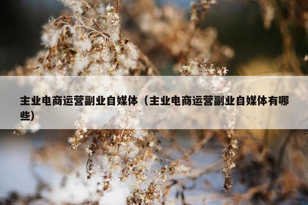 主业电商运营副业自媒体（主业电商运营副业自媒体有哪些）