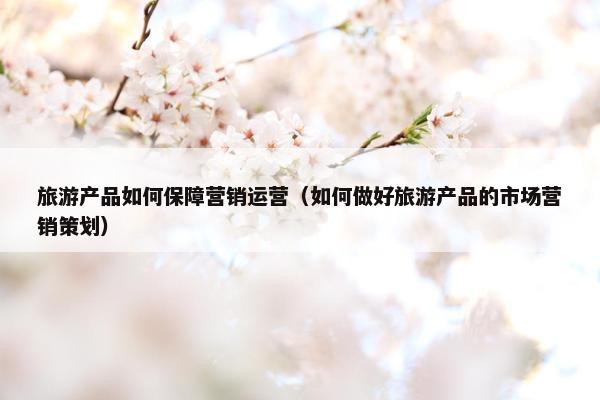 旅游产品如何保障营销运营（如何做好旅游产品的市场营销策划）