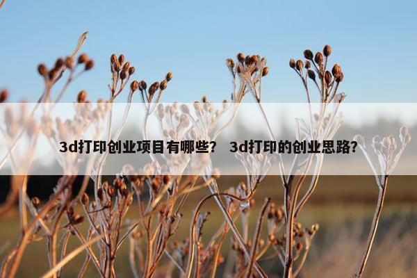 3d打印创业项目有哪些？ 3d打印的创业思路？