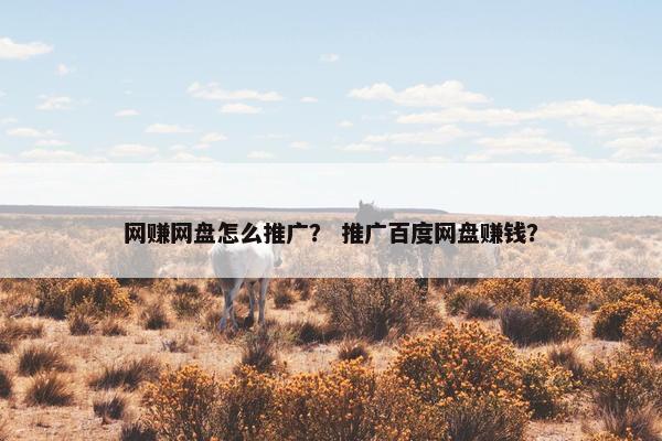 网赚网盘怎么推广？ 推广百度网盘赚钱？