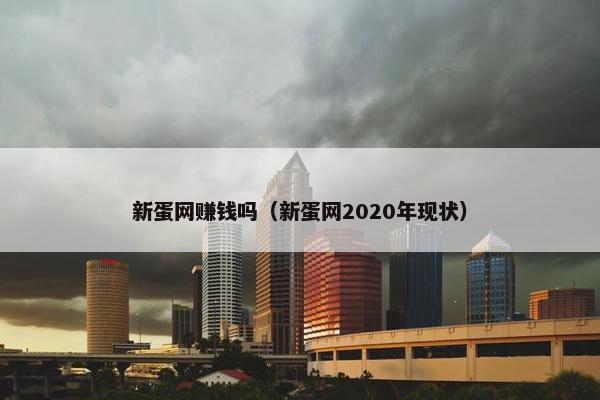 新蛋网赚钱吗（新蛋网2020年现状）