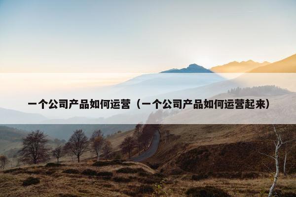 一个公司产品如何运营（一个公司产品如何运营起来）