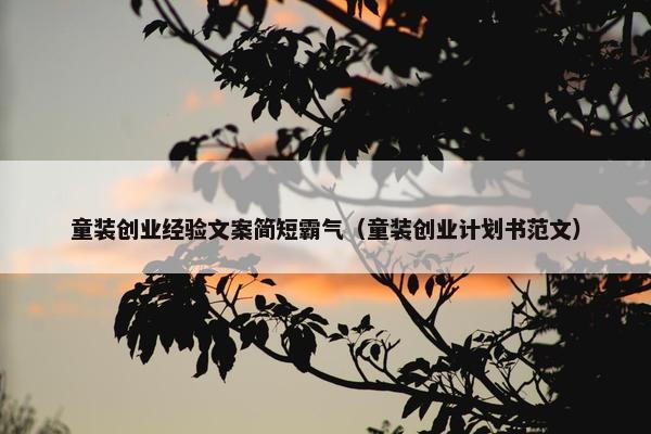 童装创业经验文案简短霸气（童装创业计划书范文）