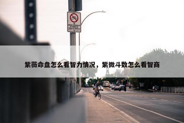 紫薇命盘怎么看智力情况，紫微斗数怎么看智商