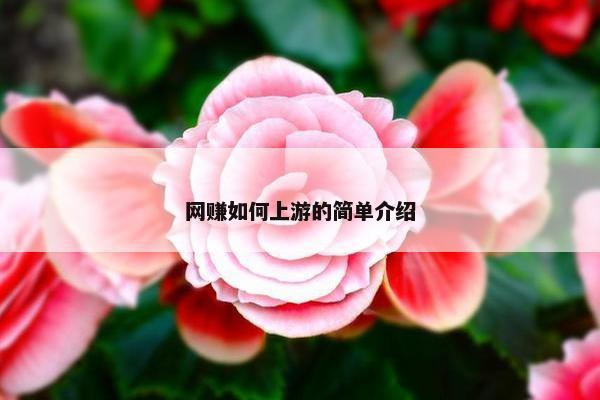 网赚如何上游的简单介绍