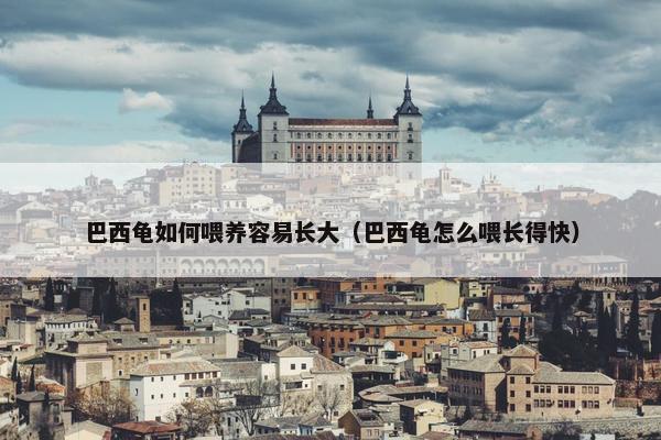 巴西龟如何喂养容易长大（巴西龟怎么喂长得快）