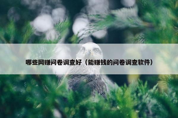 哪些网赚问卷调查好（能赚钱的问卷调查软件）