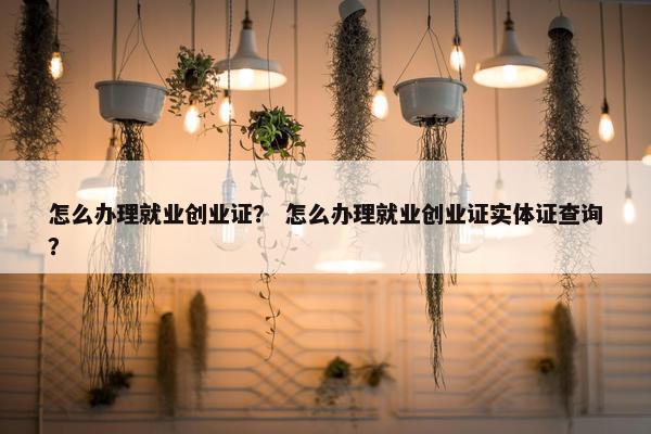 怎么办理就业创业证？ 怎么办理就业创业证实体证查询？
